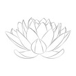 Lotus flower vector on white, fiore di loto in bianco e nero vettoriale su sfondo bianco