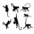 Monkey Silhouette Collection - Illustration