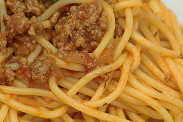 Canvas Print - spaghetti bolognaise 02022016