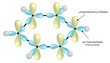 Benzen - Benzol - Ringstruktur mit sp2- und p-Orbitalen
