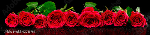 Panoramic image of red roses with dew drops on a black backgroun