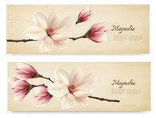 Two Retro Beautiful Magnolia Banners. Vector.