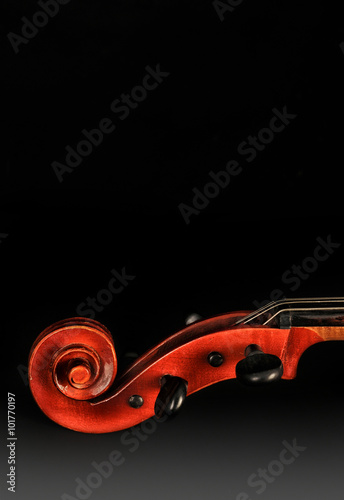 Obrazy wiolonczela  wiolonczela