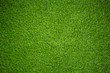 canvas print picture - artificial grass