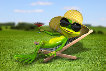 Wall Mural - Frog in a deck chair on the grass