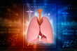 © jijomathai - Healthy Human Lungs 3d illustration