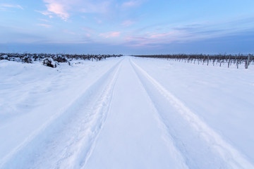 Tire track in the snow