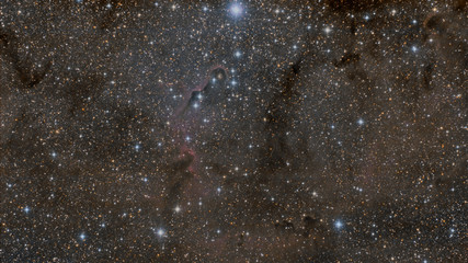 Wall Mural - elephant trunk nebula (ic 1396) in cepheus constellation