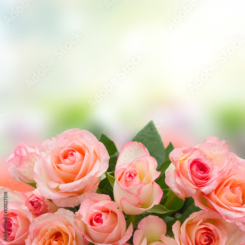 Naklejka ścienna bouquet of fresh roses