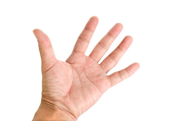 Wall Mural - Human hand / Human hand showing the five fingers on white background.