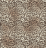 Fototapeta Na ścianę - Little cheetah print ~ seamless background