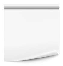 Curled Blank Paper Sheet On White Background. Vector Illustration