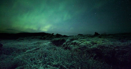 Wall Mural - aurora borealis over frozen farmland