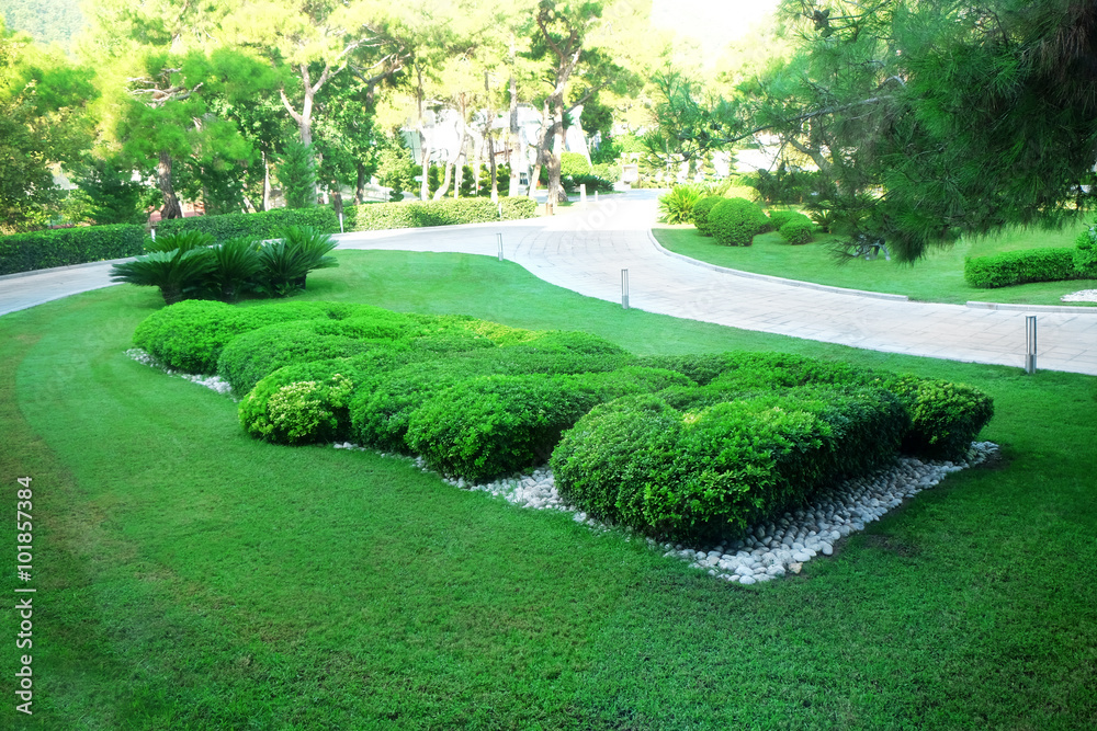 Nice photo of Turkish park in summertime