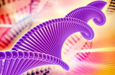 Poster - DNA structure