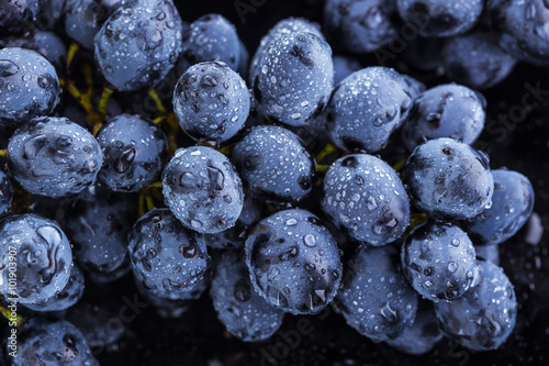 Foto Ripe bunch of blue grapes closeup with shining water drops