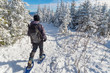 Young man snowshoeing in winter,  in the Quebec eastern township