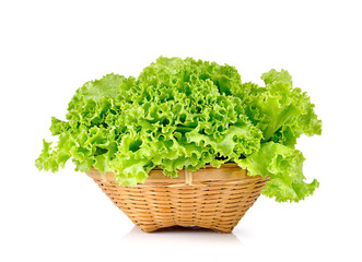 salad leaves on white background