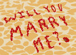 Proposal to marry on the background of street tiles. Text will You marry me? of rose petals.  All objects are grouped. Vector.