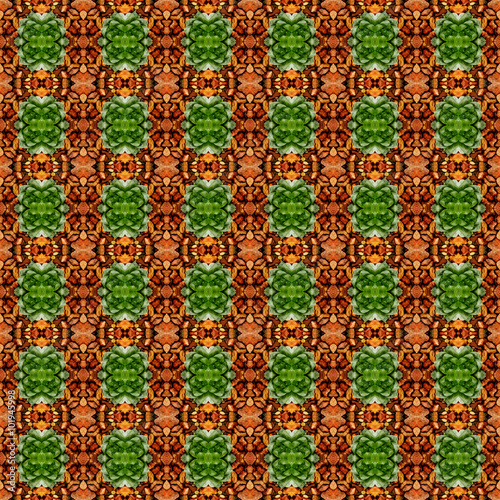 Seamless Cactus Pattern Abstract Simple Background Buy