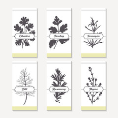 Wall Mural - Spicy herbs silhouettes collection. Hand drawn cilantro, parsley, tarragon, dill, rosemary, thyme