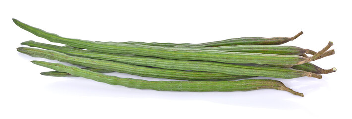 moringa isolated on a white background