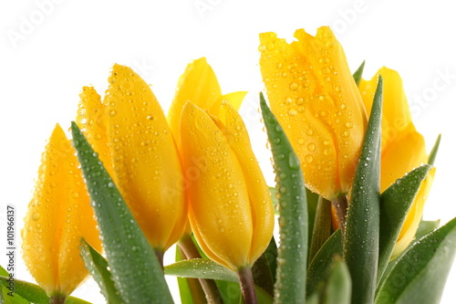 Naklejka na szybę Tulipany