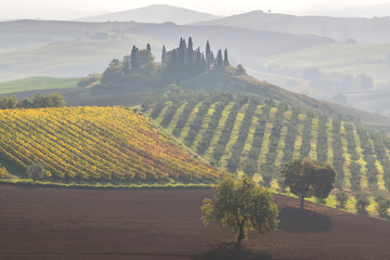 Sticker - Beautiful landscapes of Tuscany