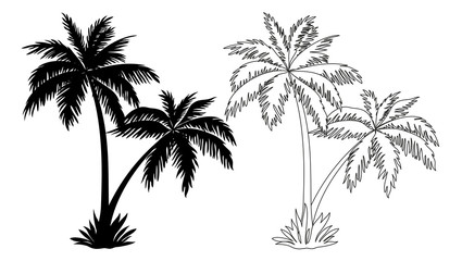 Wall Mural - Tropical Palm Trees, Black Silhouettes and Outline Contours Isolated on White Background. Vector