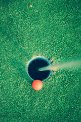 Wall Mural - golf ball of the hole hole green putting.