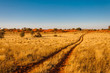 Kalahari bei Sonnenuntergang, Namibia