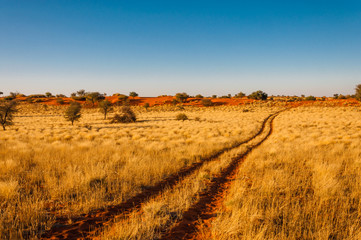kalahari bei sonnenuntergang, namibia