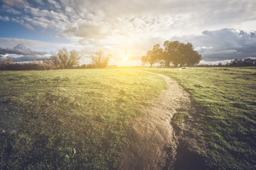 Nature Background with Vintage Style Filter