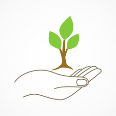 Wall Mural - hand holding a young tree symbol