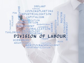 Poster - Division of labour