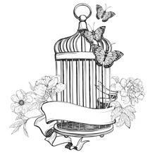Birdcage Wih Ribbon, Flowers And Butterfly