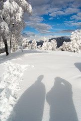 Shadow of two people looking a panorama covered with snow