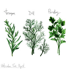 Watercolor Food Clipart - Herbs