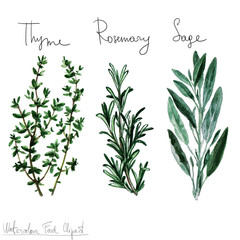 Watercolor Food Clipart - Herbs