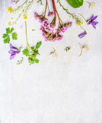 Pink, lilac and yellow spring or summer garden  flowers and plants on light wooden background, top view, border