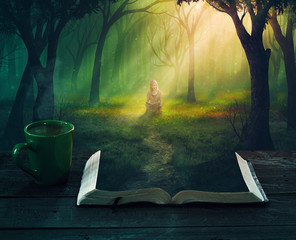 Fototapete - Reading in the forest