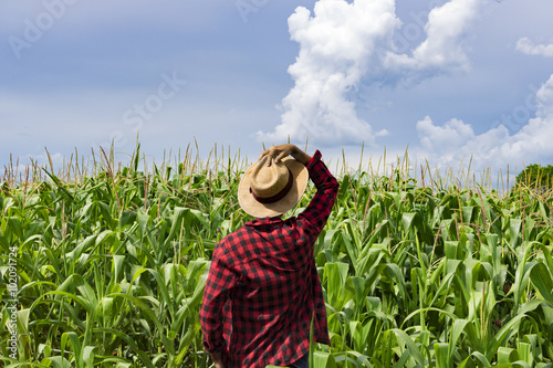 Fotografía Farmer with hat looking the corn plantation field