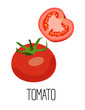 Tomato isolated on white background. Vector illustration