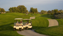 Pair Of Golf Carts