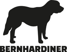 St. Bernard Dog With German Breed Name