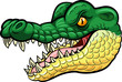 Cartoon angry crocodile mascot 