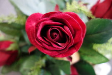 Beautiful Red Rose Composition