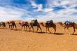 © Mieszko9 - trade caravan in the desert