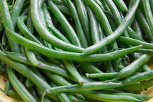 Fresh Green Beans Closeup