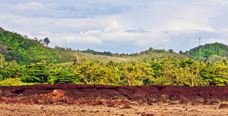 Wall Mural - Rocky Shore Low Tide